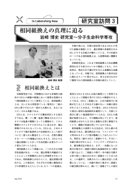相同組換えの真理に迫る