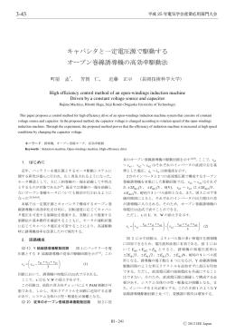 キャパシタと一定電圧源で駆動する オープン巻線誘導機の