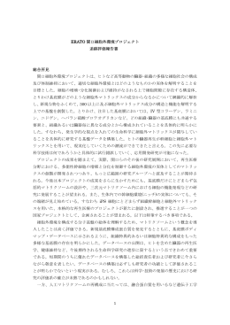 関口細胞外環境プロジェクト（PDF：176KB）