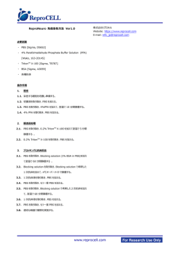 免疫染色 プロトコル ダウンロード （日本語PDF