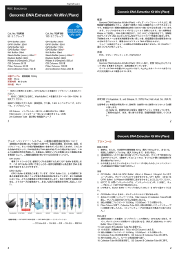 日本語 プロトコール