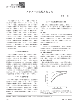 エタノール沈殿あれこれ