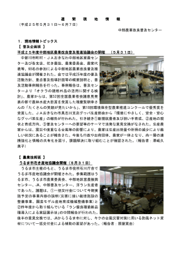週 間 現 地 情 報 週 間 現 地 情 報 週 間 現 地 情 報 週 間 現 地 情 報