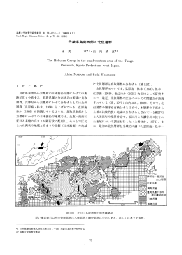 丹後半島南西部の北但層群