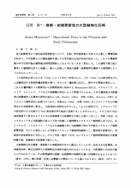 Arata M。M。HARA* ニ Macr。f。ssiー Fー。ra in the