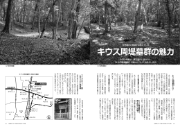 キウス周堤墓群の魅力