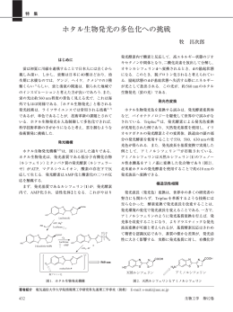 ホタル生物発光の多色化への挑戦