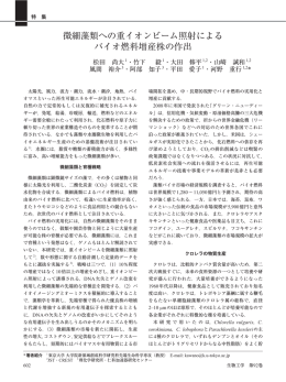 微細藻類への重イオンビーム照射による バイオ燃料増産株の作出