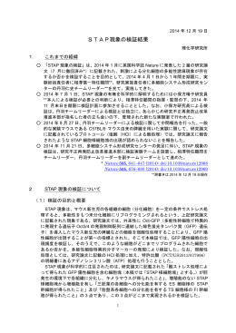 STAP現象の検証結果