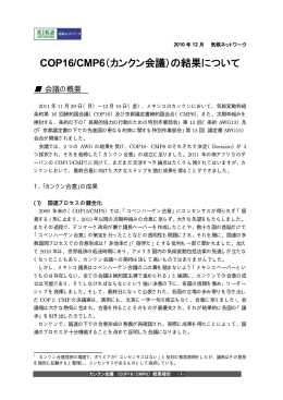 「COP16/CMP6（カンクン会議）の結果について」を発表