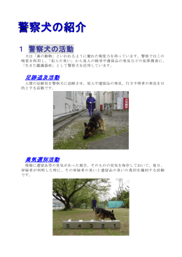 1 警察犬の活動