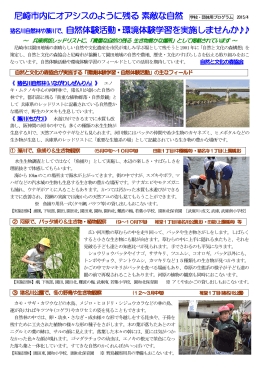 尼崎市内にオアシスのように残る にオアシスのように残る にオアシスの