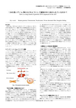 1 本の長いゲノム DNA はどのようにして細胞の中に収められているのか？