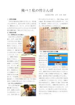 飛べ！私の竹とんぼ
