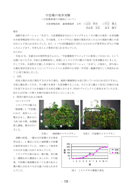 宇宙種の発芽実験