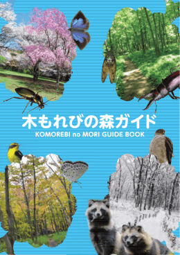 木もれびの森ガイド（PDF版）