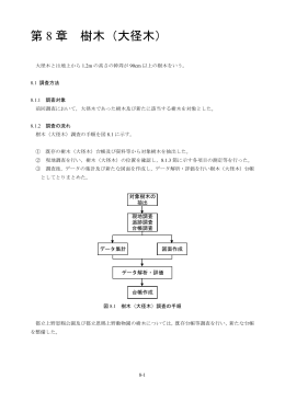 第 8 章 樹木（大径木）