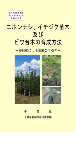 ニホンナシ、イチジク苗木及びビワ台木の育成方法（PDF