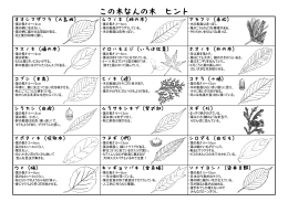 オオシマザクラ（大島桜） ムクノキ（椋の木） アカマツ（赤松） クスノキ（楠