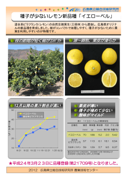 種子が少ないレモン新品種「イエローベル」