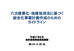 総合化事業計画作成のためのガイドライン
