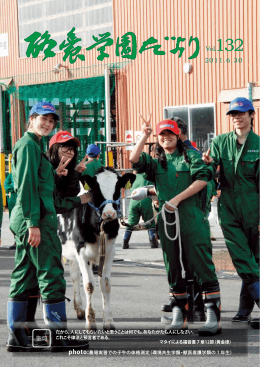 だから、人にしてもらいたいと思うことは何でも、あなたが