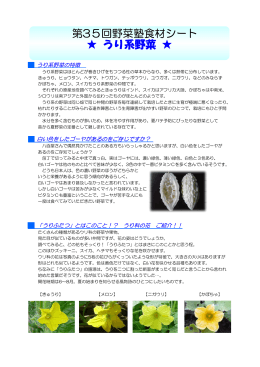 うり系野菜のご紹介