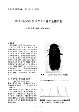 中国大陸の水生ホタル2種の生態概要