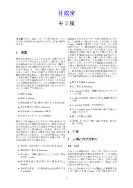 モミ属