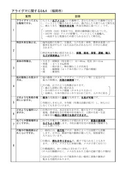 アライグマに関するQ＆A（福岡市） （222kbyte）