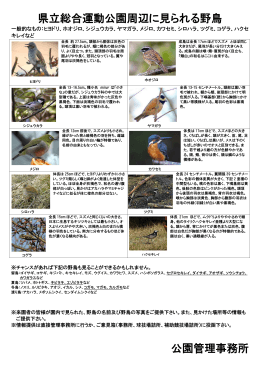 PDFファイルを開く - 長崎県立総合運動公園【公式】