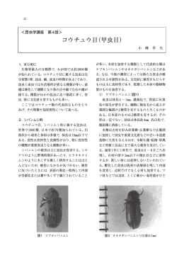 コウチュウ目（甲虫目） - 公益財団法人 文化財虫菌害研究所