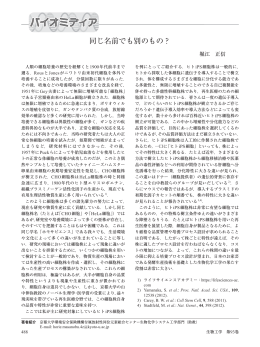 同じ名前でも別のもの？