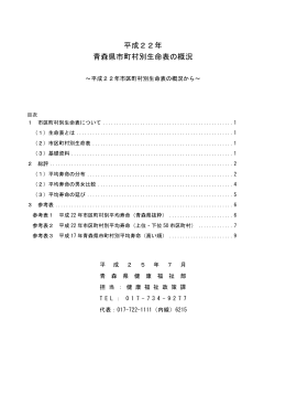 平成22年 青森県市町村別生命表の概況