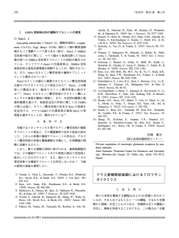 マウス受精卵前核期におけるクロマチン ダイナミクス