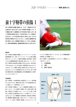 前十字靭帯の損傷 1