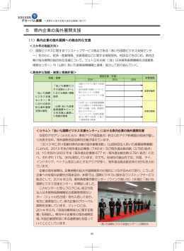 重要政策課題② グローバル展開