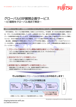 グローバルERP展開企画サービス