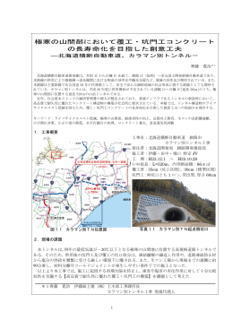 極寒の山間部において覆工・坑門工コンクリート の長寿命