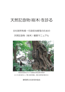 天然記念物樹木 を診る