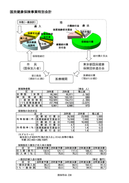 国民健康保険事業（PDFファイル 125.5KB）
