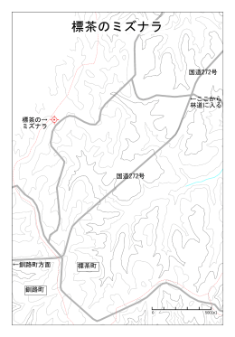 国道272号 ←釧路町方面 ←ここから 林道に入る 標茶の→ ミズナラ 標茶