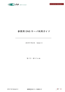 参照用 DNS サーバ利用ガイド - Bit