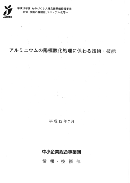 アルミニウムの陽極酸化処理に係わる技術 ・ 技能