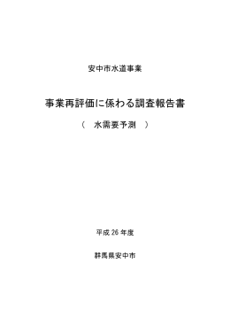 事業再評価に係わる調査報告書