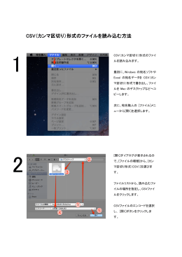 CSV（カンマ区切り）形式のファイ
