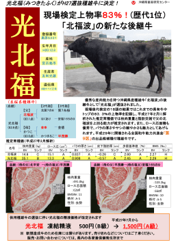 現場検定上物率83％！(歴代1位） 「北福波」の新た