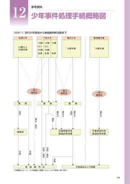 12 少年事件処理手続概略図