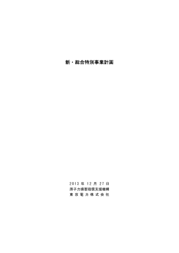 新・総合特別事業計画（PDF 991KB）