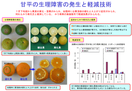 甘平の生理障害の発生と軽減技術